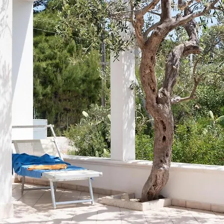 Casa Pedone 아파트 파투