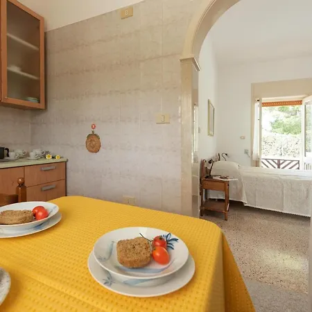 아파트 Casa Pedone 파투